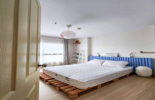 �ҧ�л� �� All Living