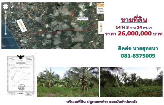 �ź��� �� Jyn Property