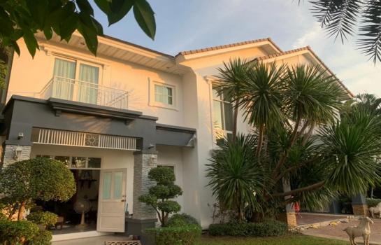 ��»����� �� asangha PL