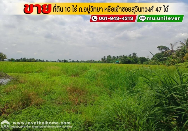 ���˹ͧ�͡ �� lovethaihome101