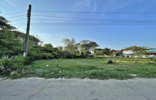 ที่ดิน ติดถนนคอนกรีต กรุงเทพ ที่ดิน ติดถนนคอนกรีต กรุงเทพ