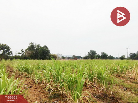 �Ҥ�� �� The Best Property Agent