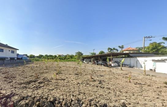 ����Ҵ����� �� HarrisonTH