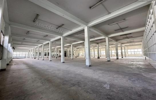 �ҧ��Ҹ� �� AssetD4U