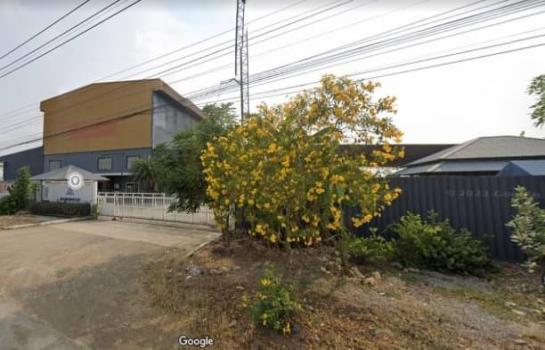 �ç�ҹ 9 ���