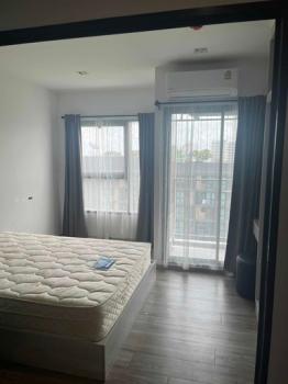 ��ѡ��� �� M Property