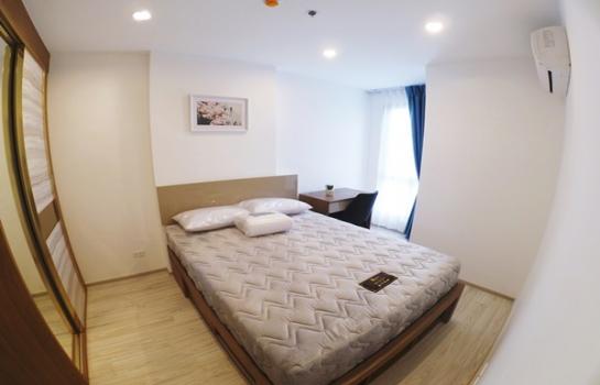 �ҧ���� �� M Property