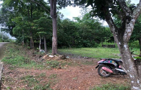 ���Թ �Դ����͹��յ 199,000 �ҷ