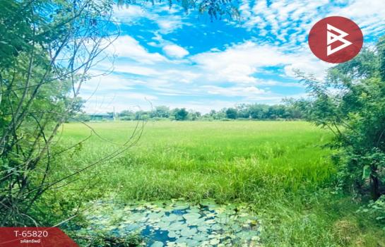 ��û�� �� The Best Property Agent