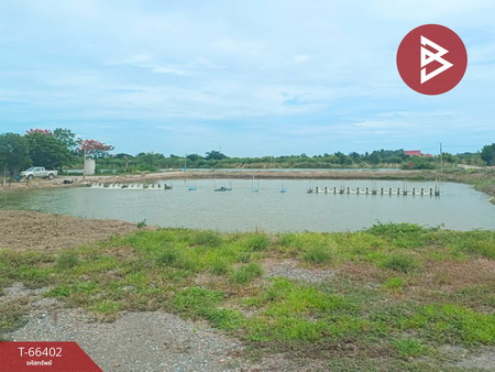 ��û�� �� The Best Property Agent