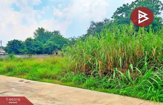 ����Ҫ� �� The Best Property Agent