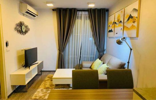 ������� �� M Property