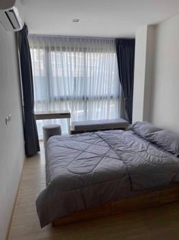 ���⢹� �� M Property