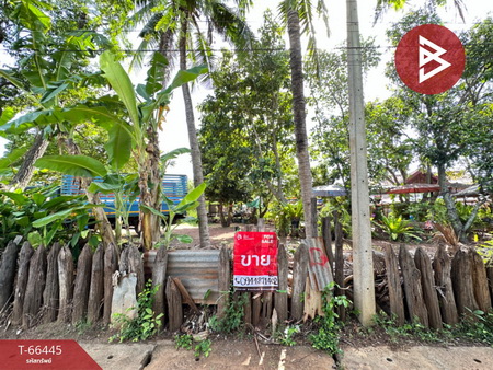 ����Ҫ���� �� The Best Property Agent