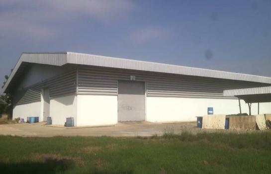 �����ҹ� �� 1000property