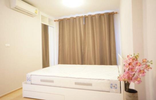 �ҧ� �� SW ESTATE_Rental