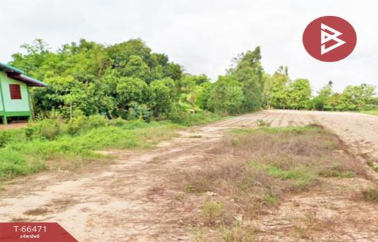 ����Ҫ� �� The Best Property Agent