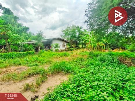 �Ҫ���� �� The Best Property Agent