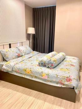 �ҧ���� �� M Property