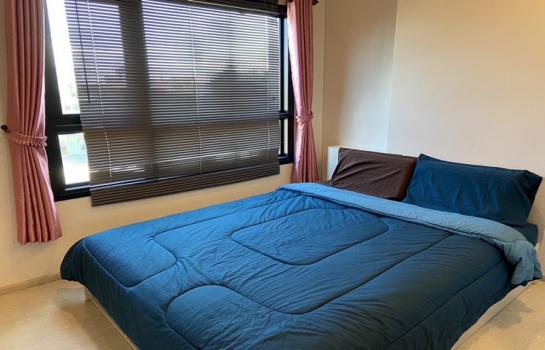 �͹�����ͧ�ѡ��� ����Ҫ����