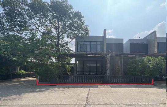 �ҧ�͹ �� panaya.opalopal