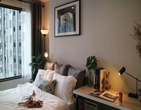 �Ҵ����� �� incube