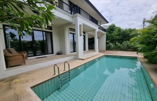 ��ҹ����� �� Sawasdee