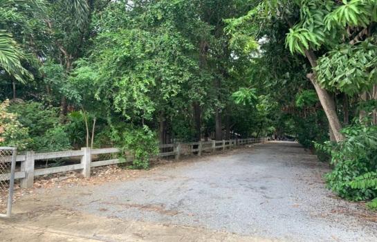 ��º�ҹ 9,000,000 �ҷ