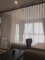 �͹� �ҧ��