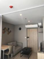 ������ �͹� �ҧ�� ��ا෾