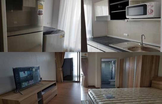 �ҡ��� �� M Property