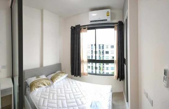 ��ا෾ �� M Property