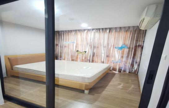 ��ا෾ �� M Property