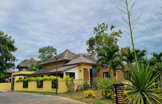 �ź��� �� sopa