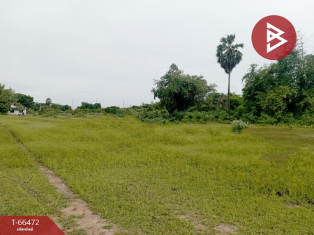 �����ǧ �� The Best Property Agent