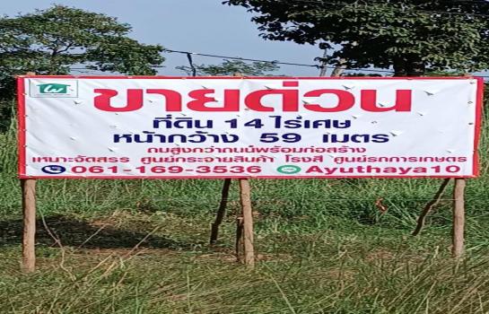 ���Թ ��ʸ�