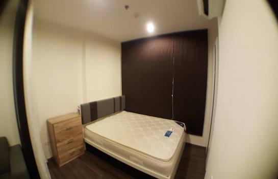 �Ѳ�� �� ��