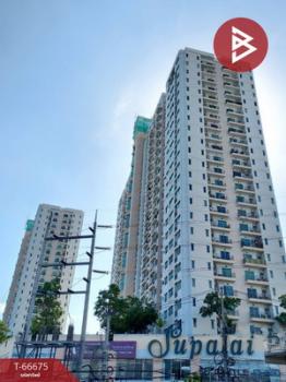 ��ا෾ �� The Best Property Agent