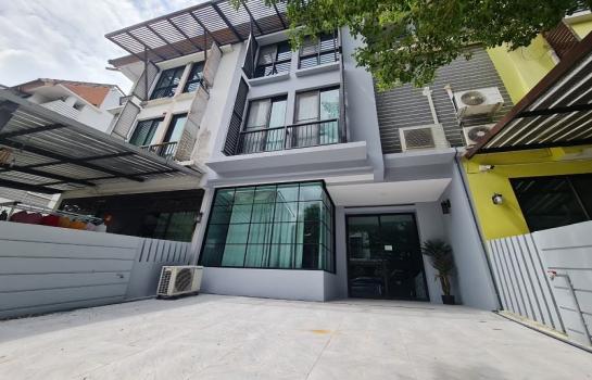 ���⢹� �� Patkorn