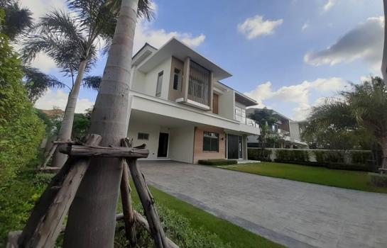 �ҧ��� �� Danial Danderm