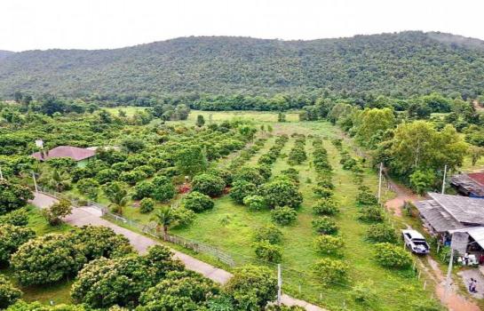 ��§���� �� Bangkok Home Condo