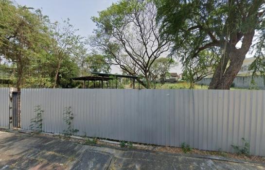 �ѧ�ͧ��ҧ �� HarrisonTH