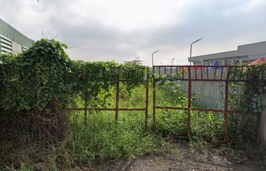 ��л��ᴧ �� HarrisonTH