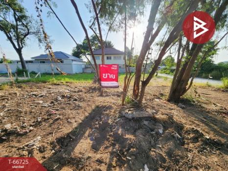 ����Ҫ� �� The Best Property Agent