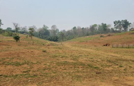 ���Թ���ᵧ �� Sawasdee