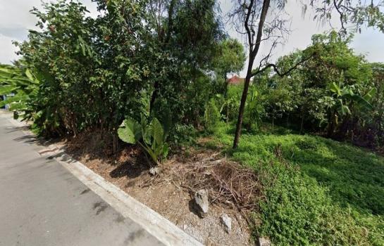 ���⢹� �� HarrisonTH