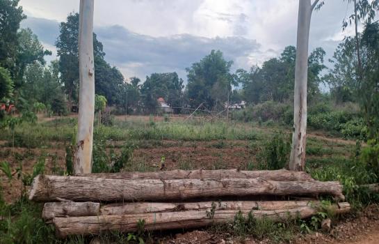 ������ �� Noname2023