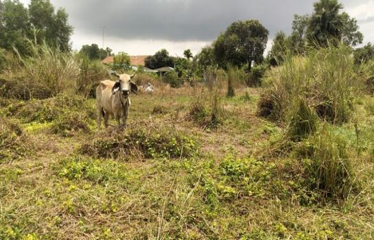 �ź��� �� Jyn Property