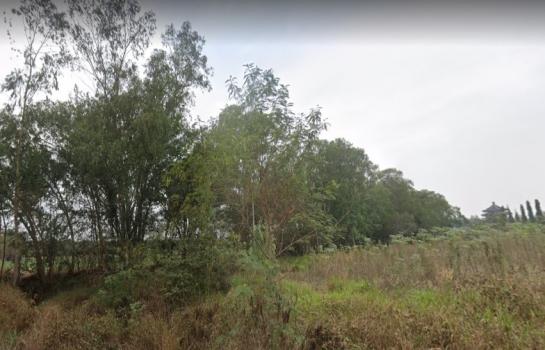 ที่ดิน pattaya ที่ดิน pattaya