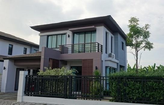 �оҹ�٧ �� AssetD4U